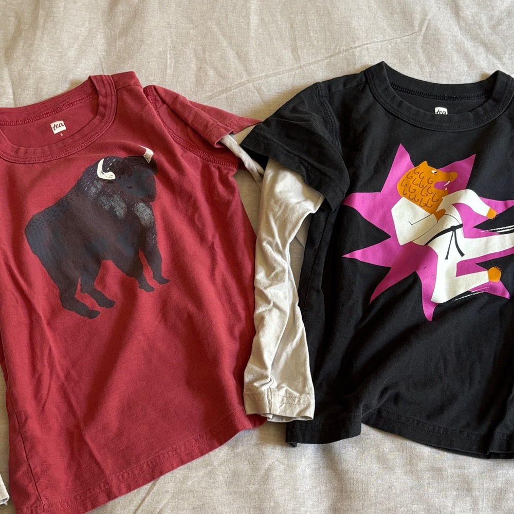Tea Collection 2 long sleeve graphic tees